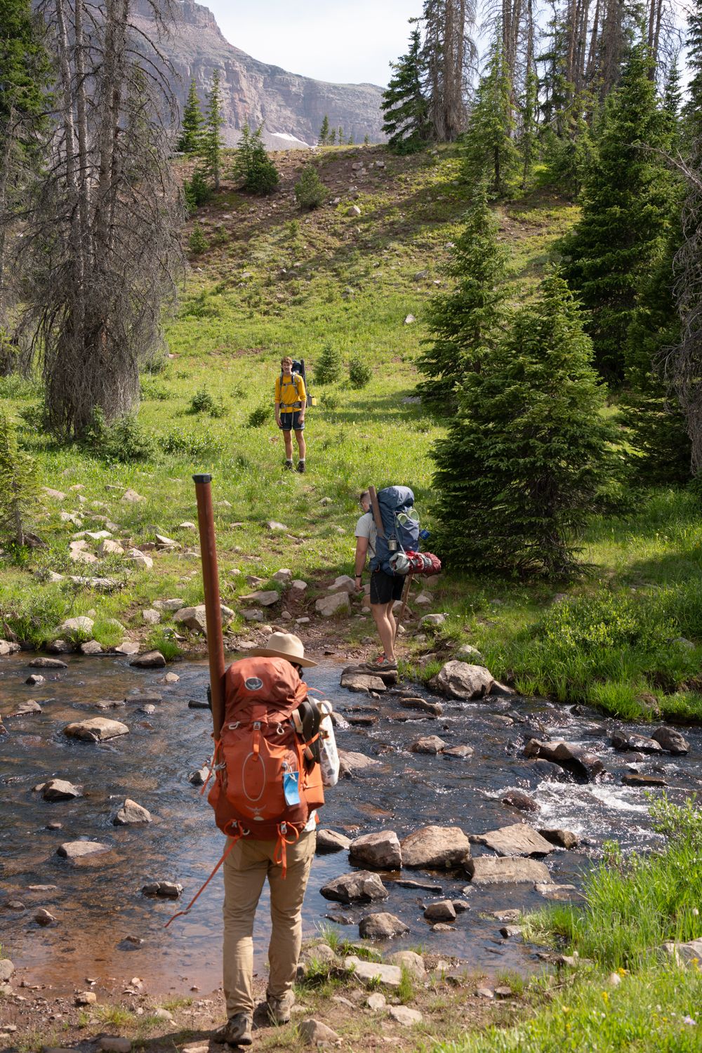 Three hikers crossing a river in lush Uinta National Forest on a summer day